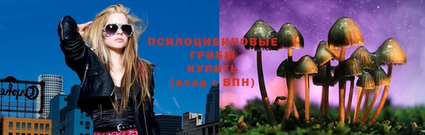 амф Богородицк