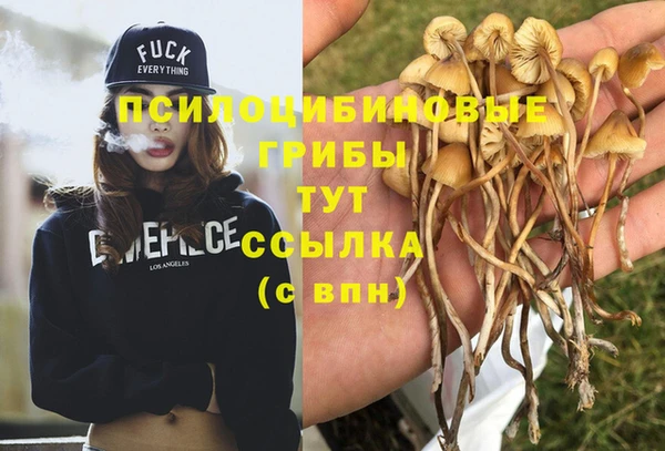 синтетический гашиш Богородск