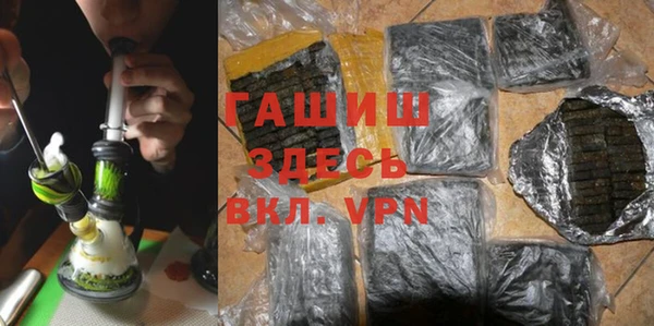 дмт Богданович