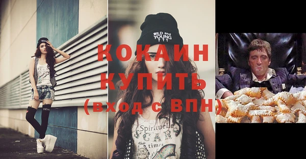 дмт Богданович
