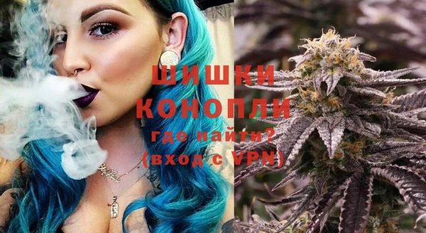 дмт Богданович