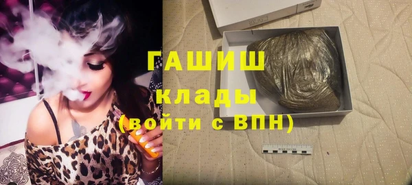 дмт Богданович