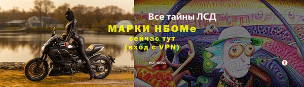 дмт Богданович