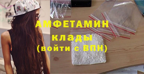 дмт Богданович