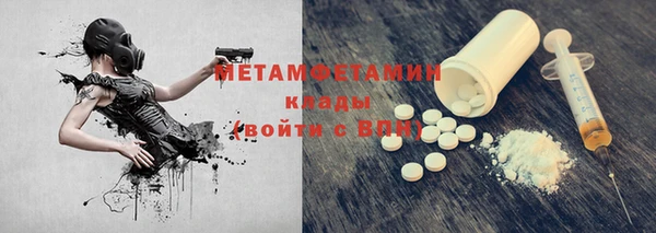 дмт Богданович