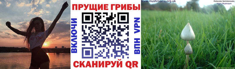 Псилоцибиновые грибы Magic Shrooms Озёрск