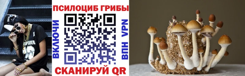 Псилоцибиновые грибы прущие грибы  Купить закладки  Озёрск 
